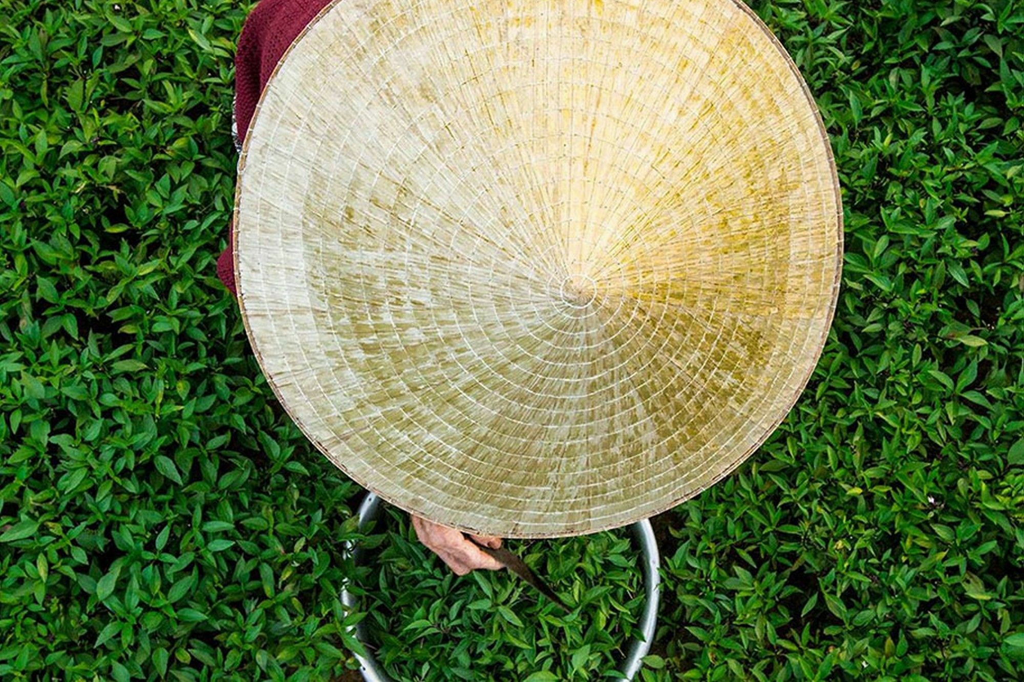 Cam Nam Homestay Hoi An Exteriér fotografie